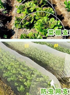 实心玻璃纤维杆大棚骨架花卉培育秧苗农用小拱棚支架菜地温室架杆