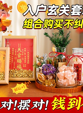 家居玄关入户摆件肉桂生财粗盐净宅大颗粒电视餐柜招财客厅装饰