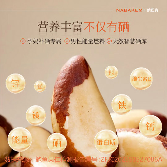 Nabacan 500g Brazil Nut Extra Large Abalone Fruit