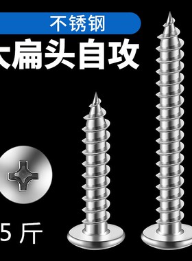 201不锈钢大扁头大圆头伞头蘑菇头自攻木螺丝 防腐木专用M4M5加长