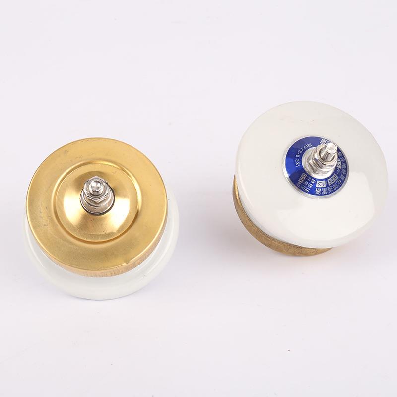 避雷器FYS-0.22陶瓷避雷器 避雷器 氧化锌避雷器陶瓷防雷保护器 - 图1