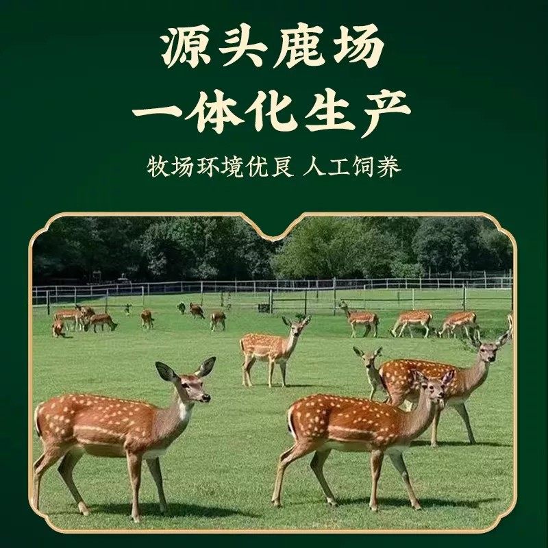 仙养方鹿筋丸万吉林长白山梅花鹿先养方膝盖关节疼痛高浓缩正品,淘宝优惠券,粉丝福利购,淘宝优惠卷