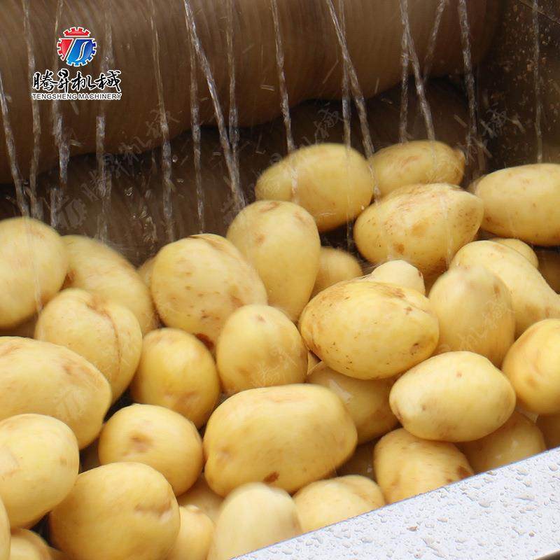 小型土豆毛刷清洗去皮机果蔬密封式毛辊清洗机土豆清洗机,淘宝优惠券,粉丝福利购,淘宝优惠卷