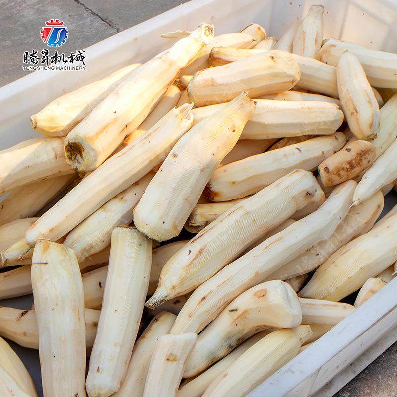 小型土豆毛刷清洗去皮机果蔬密封式毛辊清洗机土豆清洗机,淘宝优惠券,粉丝福利购,淘宝优惠卷