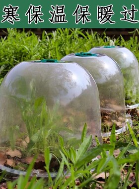 植物防冻罩育苗保温罩加仑盆种菜花卉植物过冬御寒保暖温湿防冻种