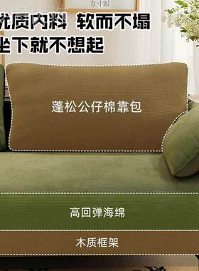 奶油风布艺沙发客实木家用小户排型单双人位北欧风厅人DMH懒人直