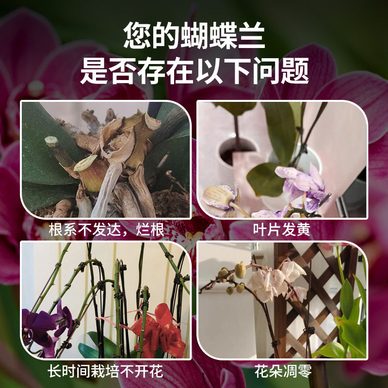 秒精度九龙整体定时器 开关插座 点滴泵喂食器鱼缸控制器水族