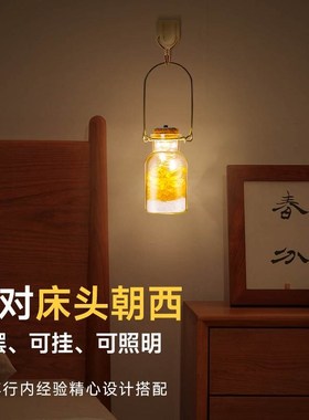 安忍水瓶子床头朝西摆件厕所西北角卫生间在解决真安仁安人玻璃瓶