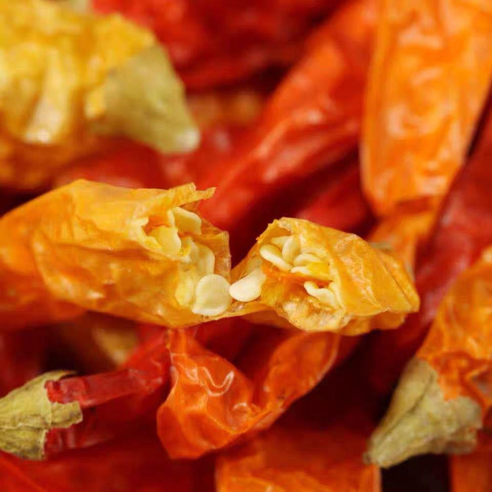 湖南干辣椒特辣魔鬼辣椒王湖南辣椒干小黄辣野山椒小米辣 - 图3