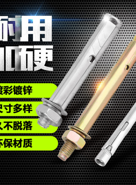 镀锌膨胀螺丝外膨胀螺栓 加长铁拉爆爆炸螺丝钉膨胀管M6M8M10M12