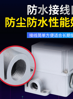 行程限位开关DF1-A/B 重负荷限位器 耐高温壳可调转臂滚轮摆杆式