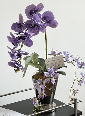 紫色蝴蝶兰花艺彷真花假花装饰花摆设客厅餐桌摆件餐桌花摆花装饰