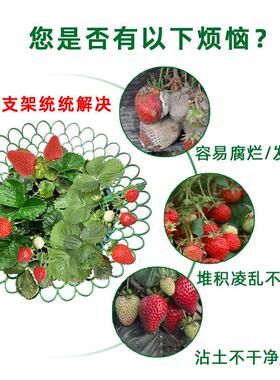 栽培架绿色园艺工具托盘架草莓