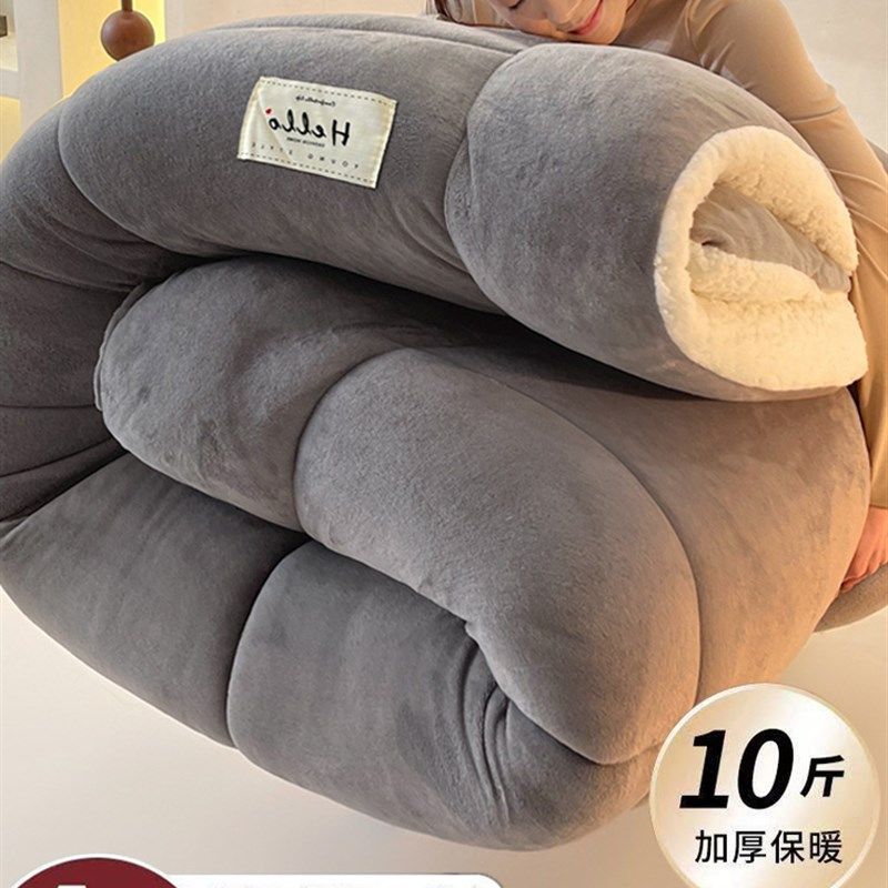 羊羔绒被子2025新款冬季棉被被芯冬天单人宿舍秋冬被加厚保暖10斤,淘宝优惠券,粉丝福利购,淘宝优惠卷