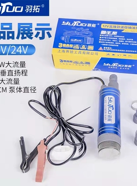 电动柴油抽油泵12V24伏加油机加油箱油抽子加油枪自吸泵潜水油泵