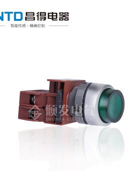 昌得电器CNTD 自复位凸头带灯电源按钮开关 C2PIH开孔22mm