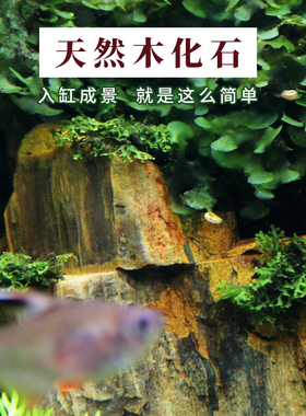 天然木化石原石鱼缸造景石草缸假山石水族箱装饰造景素材木纹理石