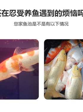 锦鲤鱼池安定除氯水剂自来水免晒水免困水稳定剂安稳净水除氯气剂