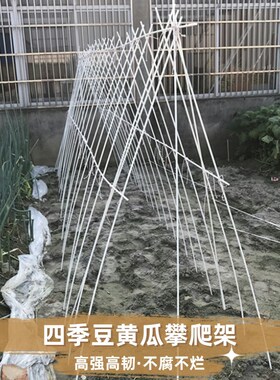 豆角黄瓜爬藤架家用农用豇豆架玻璃纤维杆玻璃钢小苗支撑杆棒架子