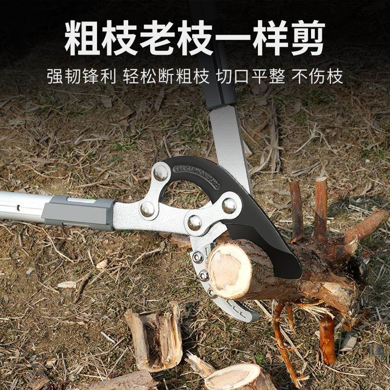 剪树枝剪刀粗果树剪修枝剪修剪修枝剪枝加长园林剪子大ROG枝剪 - 图0