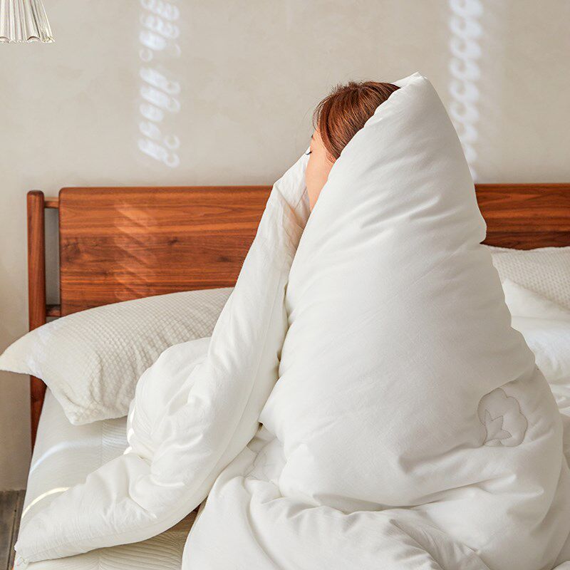 新疆纯棉花被子冬被加厚保暖棉被单人学生宿舍被芯春秋被棉絮垫被,淘宝优惠券,粉丝福利购,淘宝优惠卷