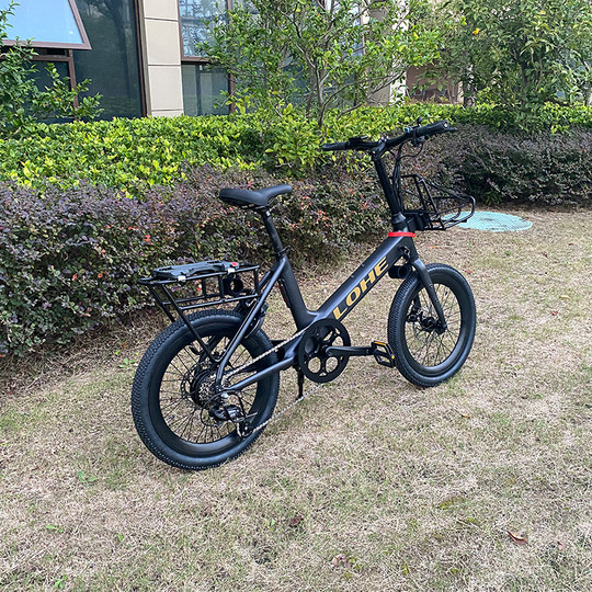 休闲款轻便助力车LOHE时尚20寸长续航电助力代步车自行车