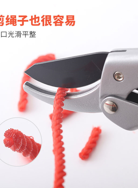 修剪树枝园林工具果树剪子粗枝剪修枝剪园艺剪刀滑轮省力果枝剪