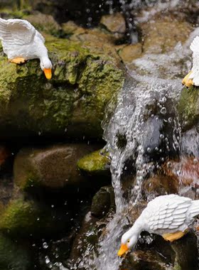 户外庭院假山鱼缸水景鱼池装饰造景布置创意仿真动物喝水鸭子摆件