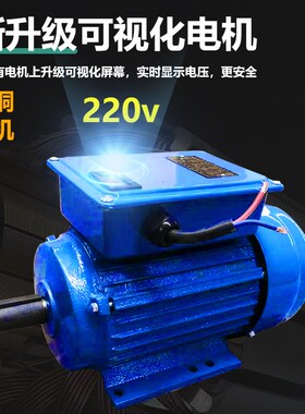 多功能瓜果蔬菜粉碎机家用小型养殖饲料红薯南瓜切丝机电动碎菜机