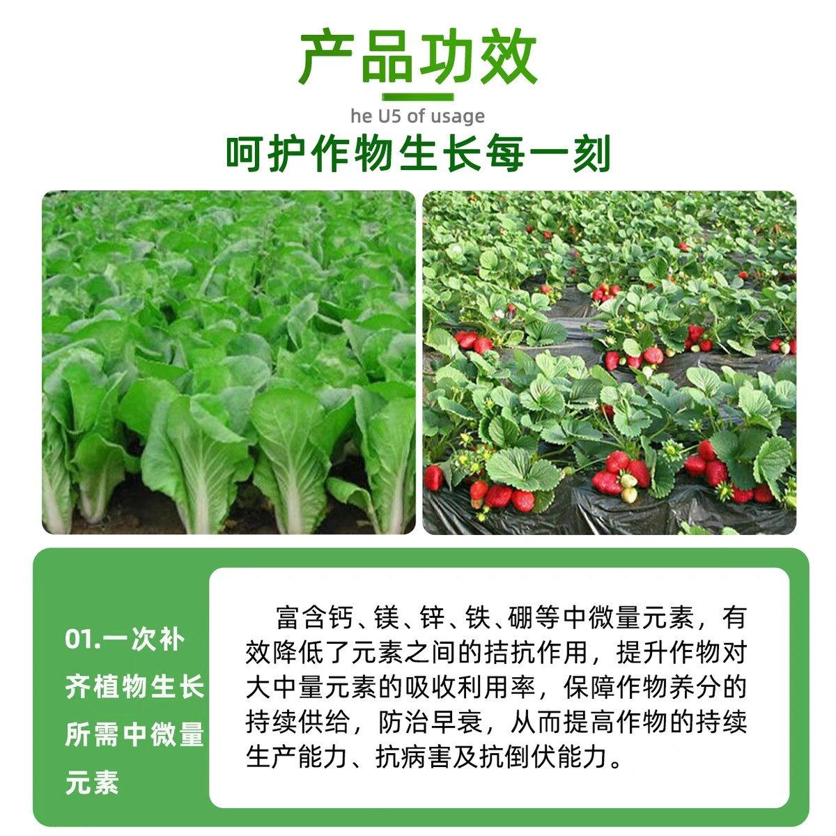 海藻鱼蛋白中微量元素钙镁硼锌铁水溶肥料冲施肥瓜果树苗通用20kg,淘宝优惠券,粉丝福利购,淘宝优惠卷