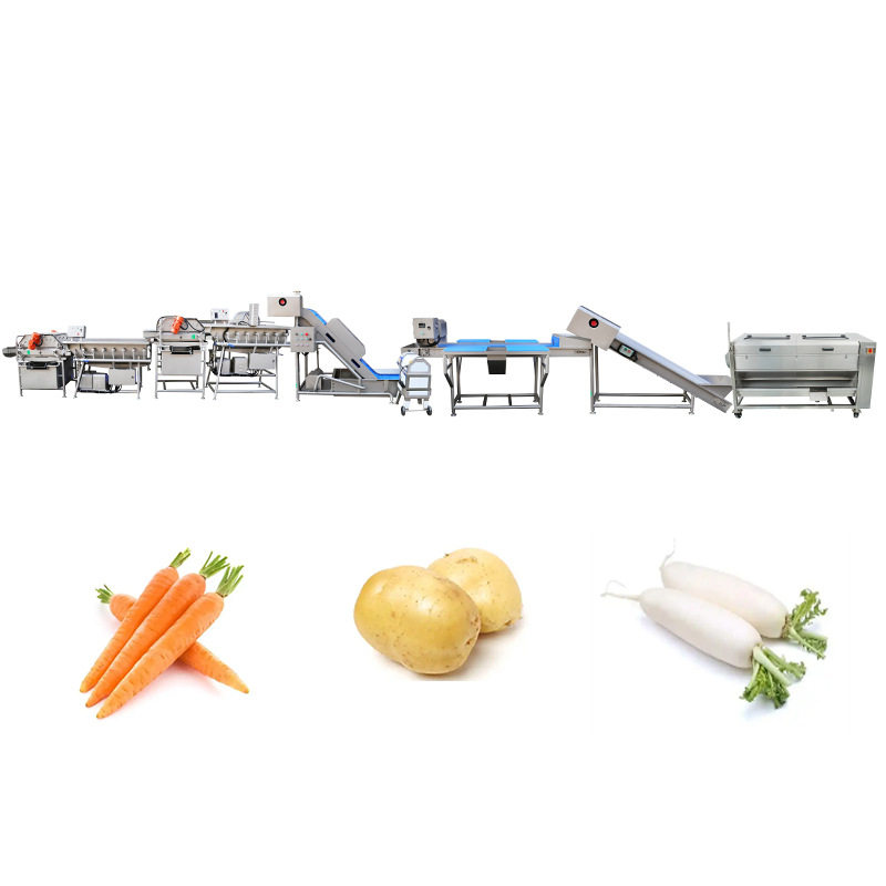 全自动净菜加工清洗线叶菜根茎菜水果海鲜涡流清洗机中央厨房设备,淘宝优惠券,粉丝福利购,淘宝优惠卷