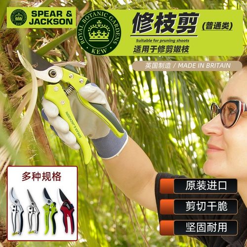 英国进口SPEAR & JACKSON修枝剪园艺剪枝剪刀篱笆果树花枝花枝剪 - 图0