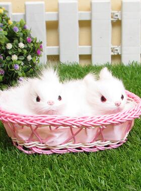 彷真兔子大小白兔 毛绒玩具公仔兔田园摆件动物拍摄道具动物模型