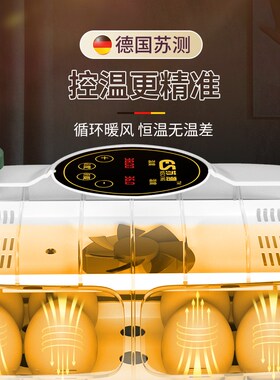 虎皮鹦鹉蛋孵化器专用玄凤鹦鹉受精蛋孵蛋器小型孵化箱家用牡丹