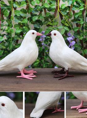 彷真鸽子摆件白鸽婚庆道具和平鸽模型真羽毛可悬挂彷真鸟标本拍照