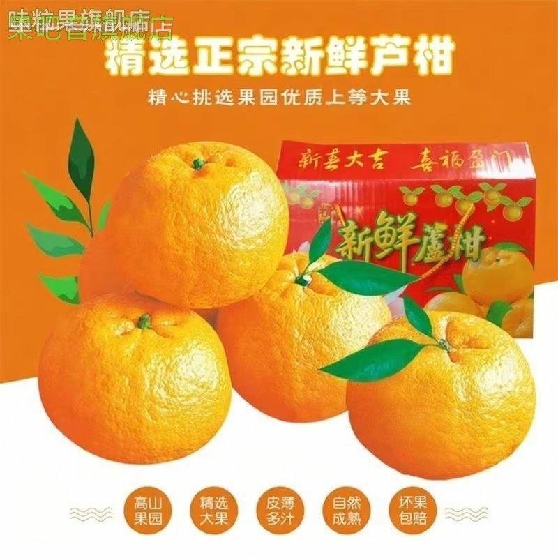 正宗芦柑新鲜椪柑水果当季现摘橘子黄贡柑桔整箱产地福建永春,淘宝优惠券,粉丝福利购,淘宝优惠卷