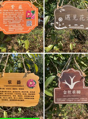 植树节树木挂牌花木介绍牌植物品名吊牌幼儿园认养防腐标识牌定制