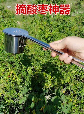 新型加长不锈钢摘酸枣神器摘果器采果野果摘山枣采摘蓝莓摘柏灵果