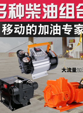 电动抽油泵12v24v220v柴油小型油泵车载大流量加油泵汽油自吸泵