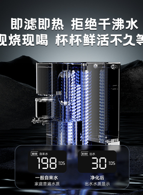 瑞迪生净饮加热体免安反渗透直饮过饮水