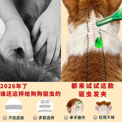 猫咪驱虫分毛夹狗狗通用固定毛发夹子宠物发夹猫狗通用头饰毛夹子 - 图3