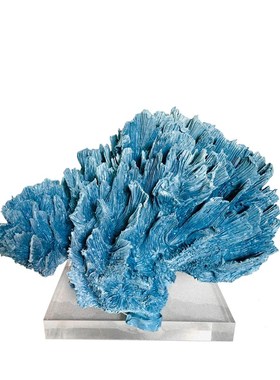 海印象珊瑚工艺品家居软装饰品创意设计师酒店民宿摆设