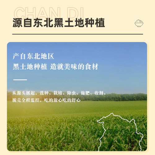 东北小碴子25年农家新货细玉米糁碎粘糯苞米茬子粥五谷杂粮粗粮 - 图0