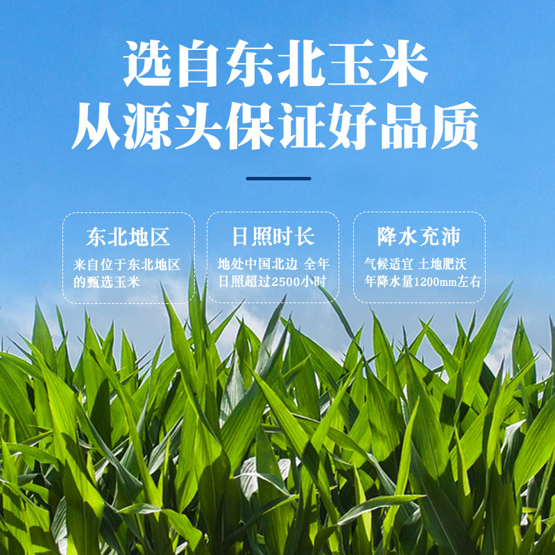 Northeastern yellow sticky rice 24-year-old new product from the farm, glutinous rice porridge, flowered kidney beans, whole grains, large sticky corn grits