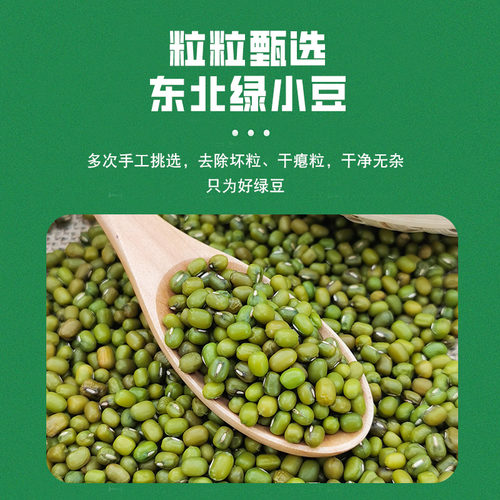 东北绿豆25年东北新货农家新鲜小绿豆发豆芽煮粥汤易沙新豆杂粮 - 图2