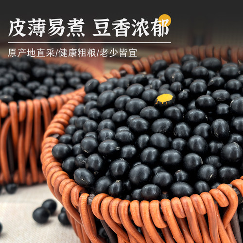 穗田几亩东北农家新货黄芯小黑豆非转基因打豆浆生豆芽粗粮杂粮 - 图2