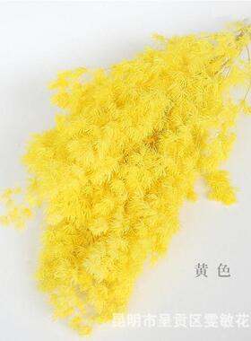 永生蓬莱松大玻束云南PLS生花永保礼鲜花永生花DIY盒璃罩材料