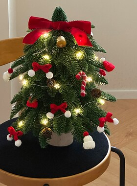 圣诞节装饰品ins拍照道具成品整颗桌面装饰摆件氛围感高级小众