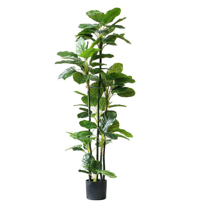 罗曼妈妈北欧大型仿真植物西瓜叶树落地盆栽玄关客厅橱窗装饰摆件,淘宝优惠券,粉丝福利购,淘宝优惠卷