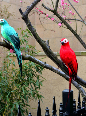 仿真鸟羽毛小鸟鹦鹉假鸟模型摆件花园家居装饰景观造景工艺